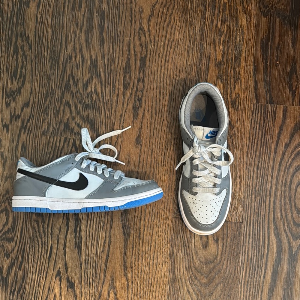 Nike Dunks youth size 5.5